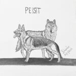 sketch of a wolf and a dog with the title pest