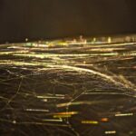 detailed photo of spiderwebs in the sunshine